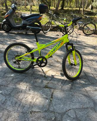 Mountain bike bambino