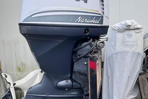 Motore Selva 115 cv Narwhal