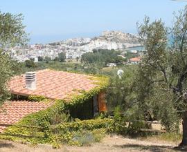 Villa con giardino vicino al mare