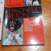 libro cani di razza. l'epagneul breton