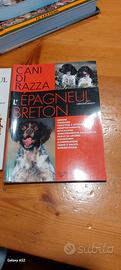 libro cani di razza. l'epagneul breton