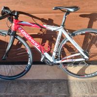 Bici da corsa donna