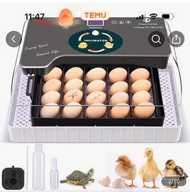 Incubatrice automatica