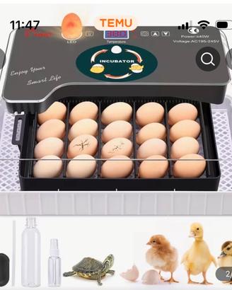 Incubatrice automatica