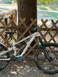 Canyon Torque 2025