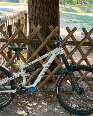 Canyon Torque 2025