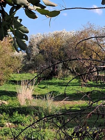 Terreno agricolo contrada tala'