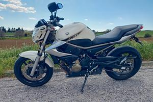 Yamaha XJ6 2009