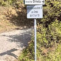 Terreno agricolo Rocca sinibalda