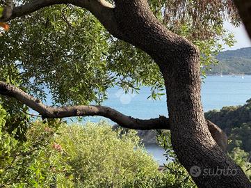 VILLA A SCHIERA A VILLASIMIUS