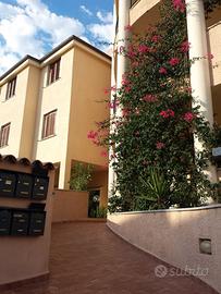 Olbia mare trilocake