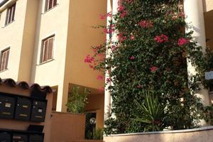 Olbia mare trilocake