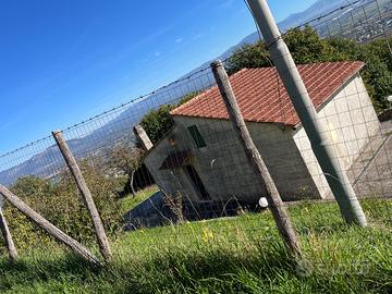 Vendita casa e terreno