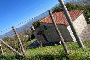 Vendita casa e terreno