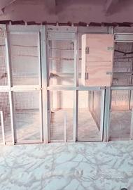 voliere modulari 