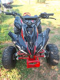 QUAD 125cc KXDPRO Germany Anno 2025