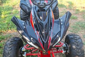 QUAD 125cc KXDPRO Germany Anno 2025
