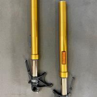 Forcelle Ohlins ducati diavel 1260