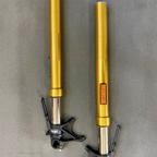 Forcelle Ohlins ducati diavel 1260