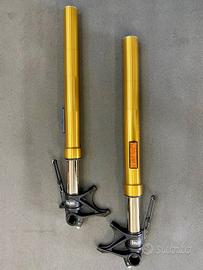 Forcelle Ohlins ducati diavel 1260