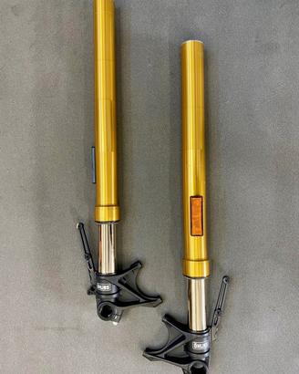 Forcelle Ohlins ducati diavel 1260