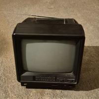 Tv portatile Irradio bruco