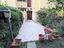 Immagine 11