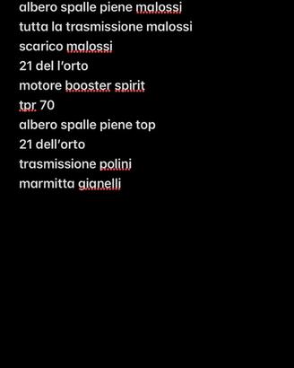 motori piaggio e booster