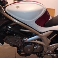 Suzuki SFV Gladius 650 - 2009