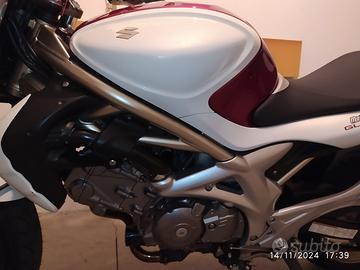 Suzuki SFV Gladius 650 - 2009