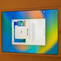 ipad pro 12.9 wifi+cellular