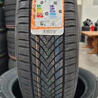185 55 R 15 82H Tracmax ALL SEASON Lancia Y ARGENT
