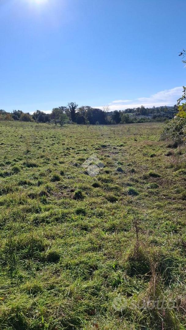TER. AGRICOLO A TREVIGNANO ROMANO - Vista 2