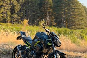 Kawasaki z900 2019
