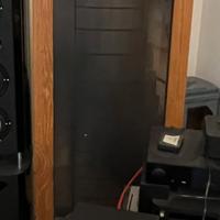 Diffusori elettrostatici Martin Logan CLSII