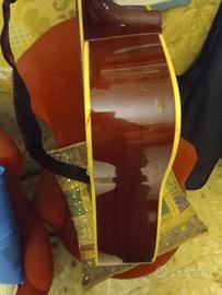 Chitarra acustica ibanez