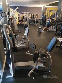 Adductor Matrix Aura