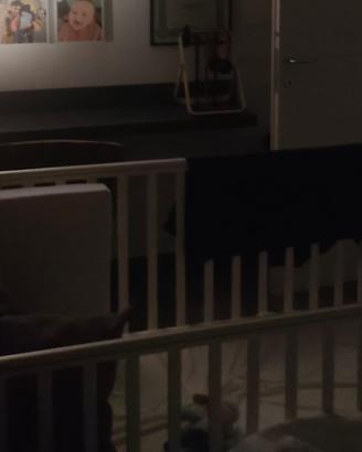 Culla Pali in legno massello con materasso e cusci