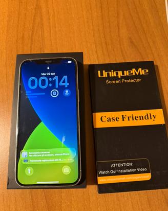 Apple iPhone 12 Pro Max 256 GB Silver