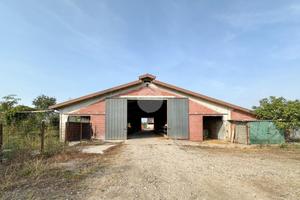 CAPANNONE A CARPENEDOLO