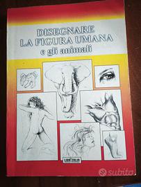 disegnare figura umana e animali