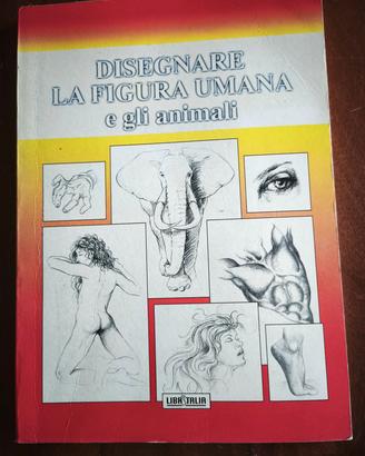 disegnare figura umana e animali