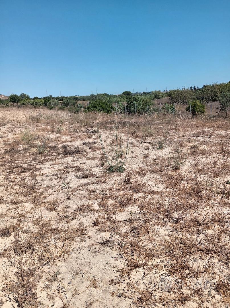 Terreno agricolo a selargius - Vista 2