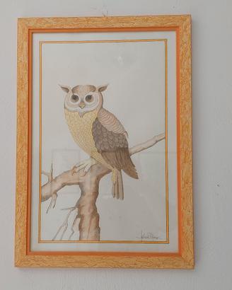 Quadri Vari