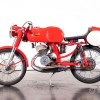 Benelli Leoncino Bassotto - 1954