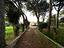 Immagine 24
