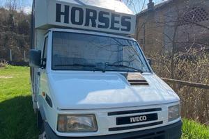 Iveco Daily trasporto animali vivi
