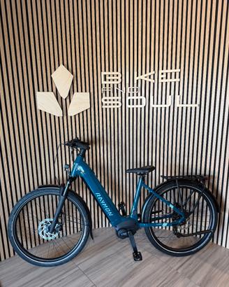 Ebike Raymon Metmo 27,5“