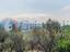 Immagine 9