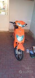 bicicletta elettrica 